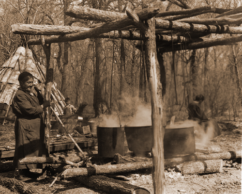 What is maple syrup?